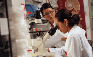 R&D / Université