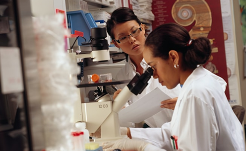 R&D / Université